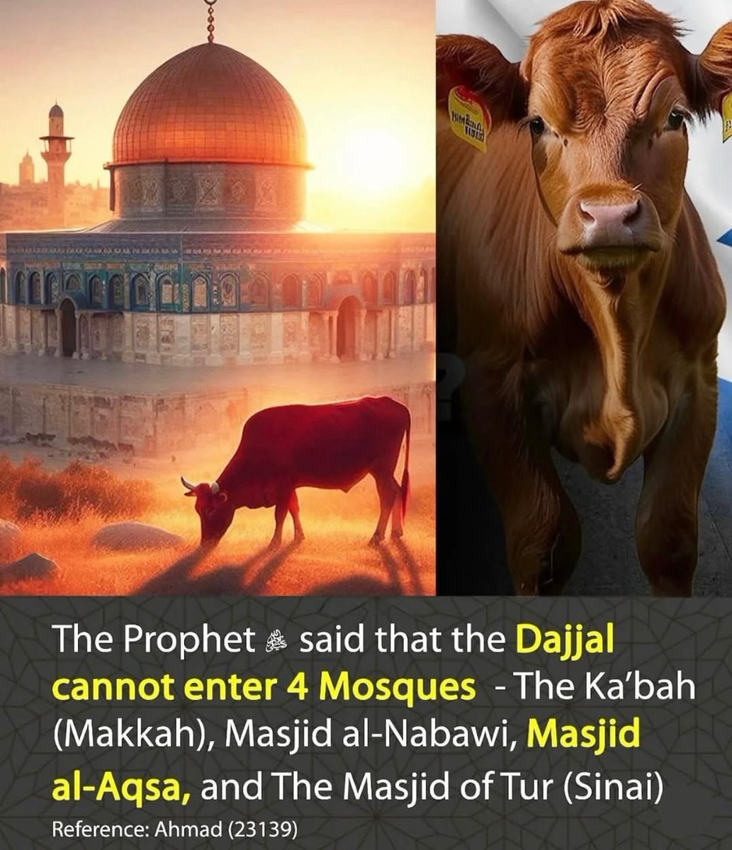 Allah Islam Quran tweet media