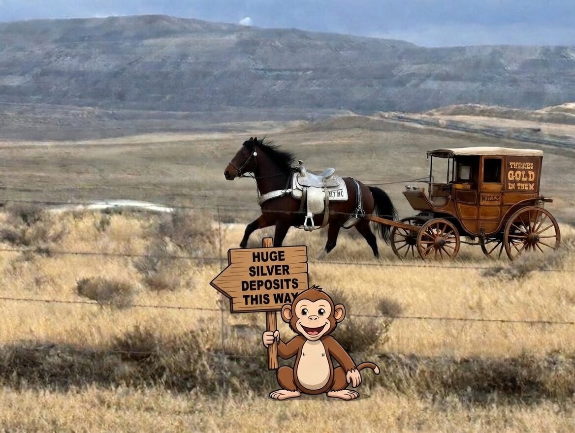 DarkPoolSinker's tweet photo. $HYMC 
Diane I cant believe it.
I saw exactly the same horse, but it was pulling this stage coach...😃 https://t.co/VVoYvSlWgu
