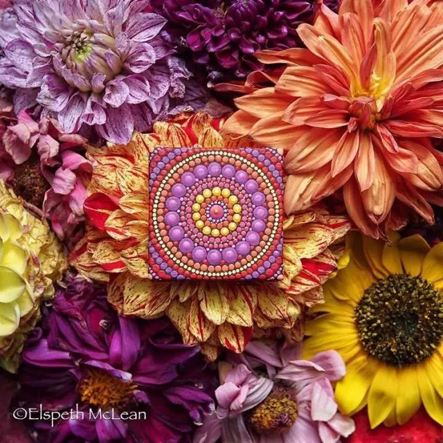 P Wojciechowski tweet media