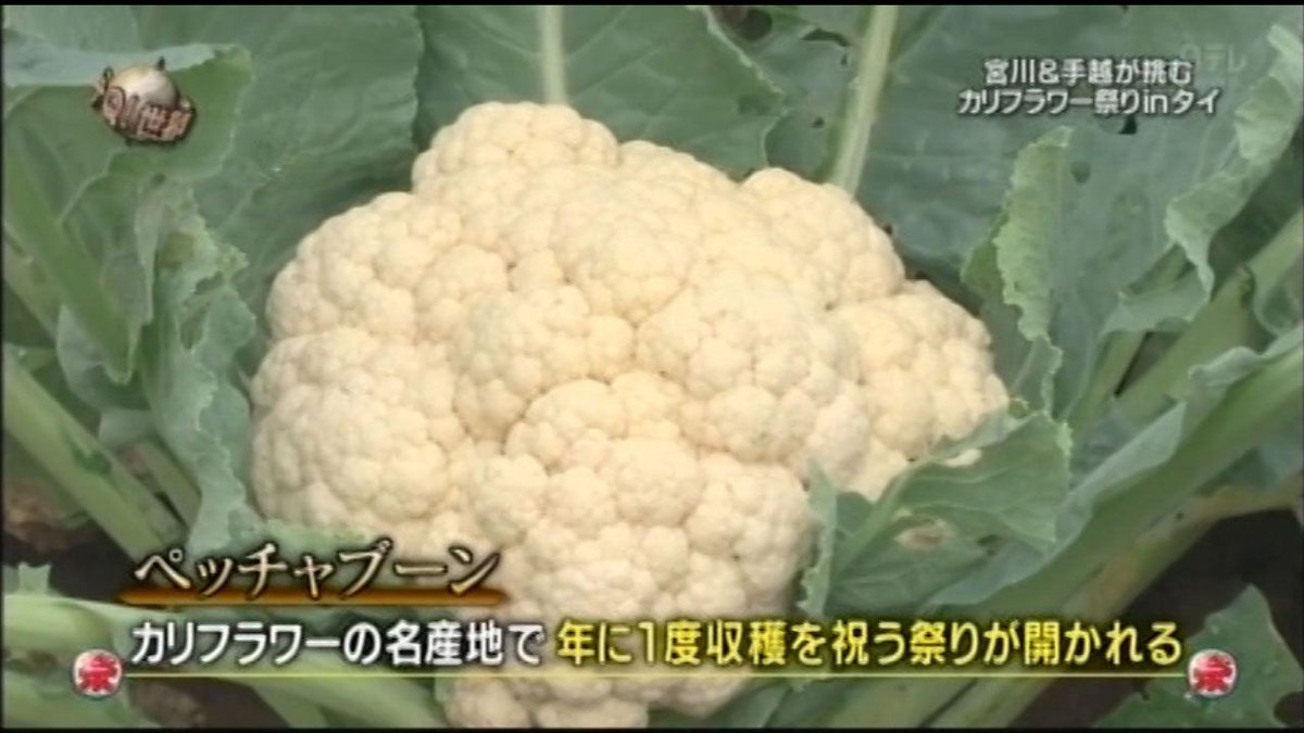 キリン【考察系事件X】 tweet media