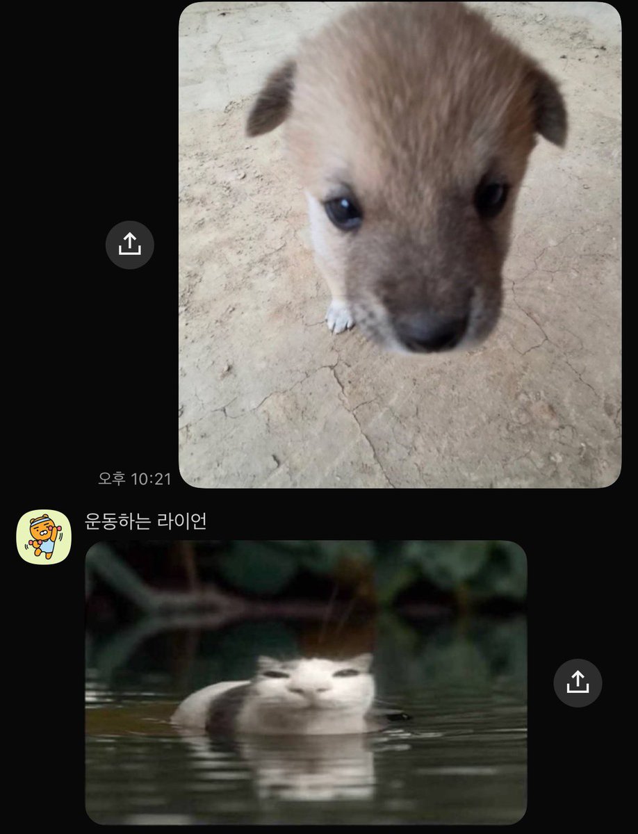 꽉낑겨 !! tweet media