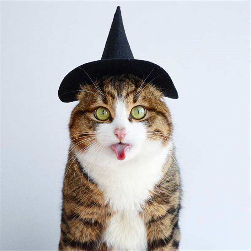 Mary K Barker tweet media