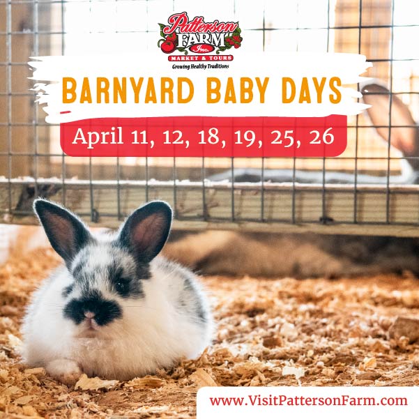 Rowan County Weather tweet media