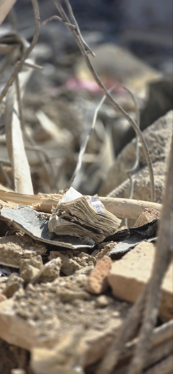 Hamid Reza tweet media