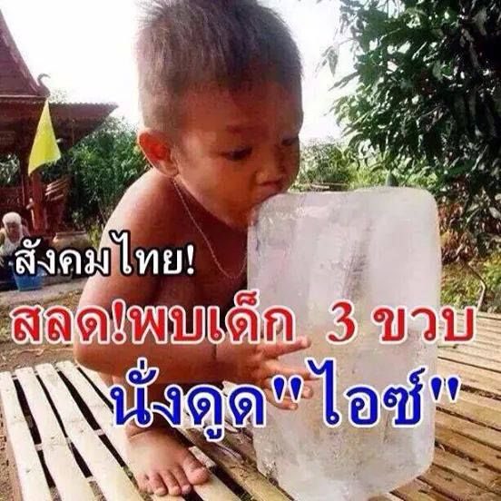 ซินซี 🐻‍❄️🐳🧏🏽‍♂️🧏🏻‍♂️ tweet media