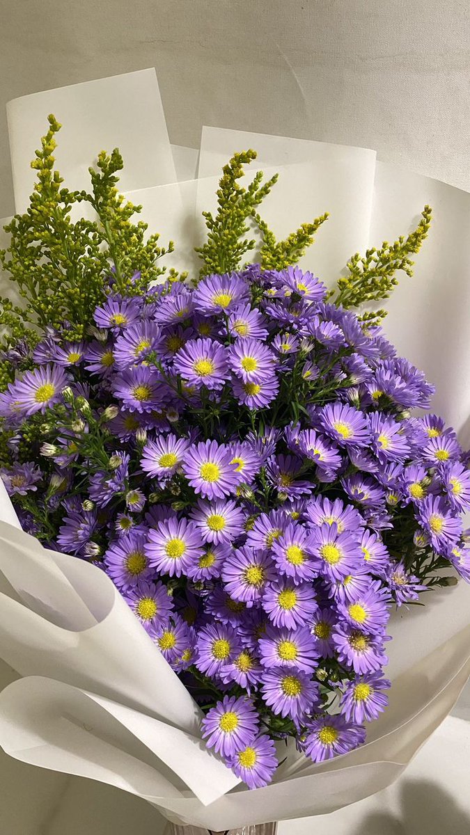softpetalview's tweet photo. https://t.co/Sc4jr5HUmZ