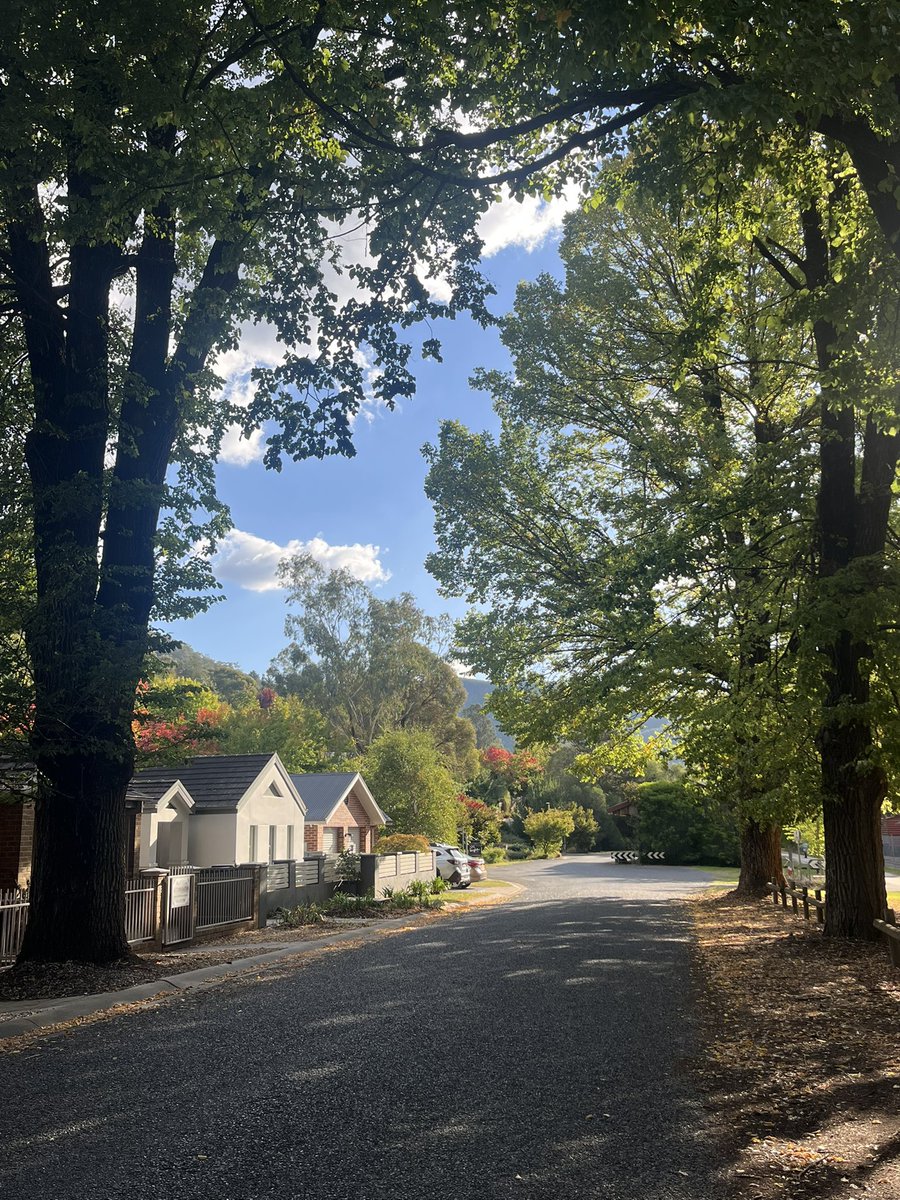 jsoly0's tweet photo. feeling autumnal https://t.co/BLDt2G1I3n