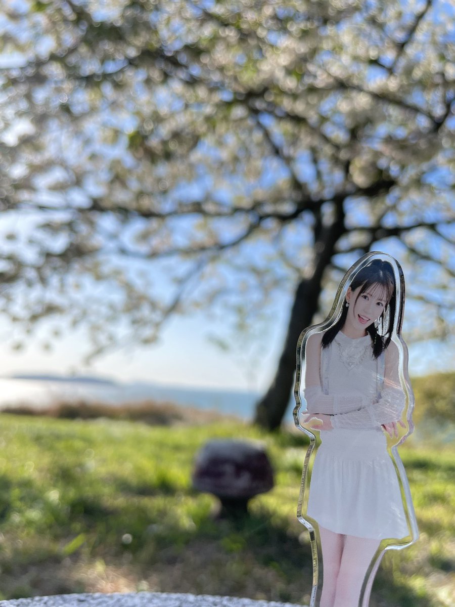 まこさん。 tweet media