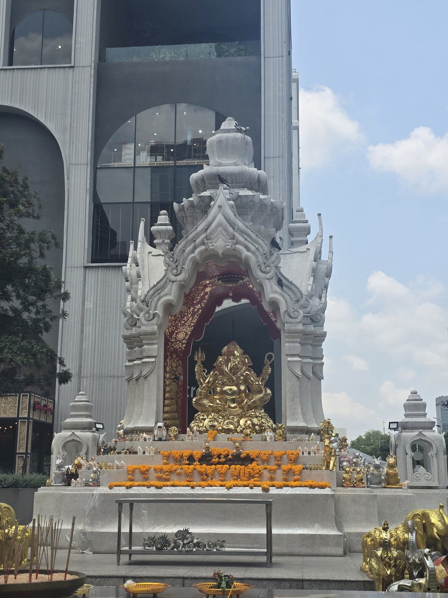 มัมหมีพี่โซ่🦊 tweet media