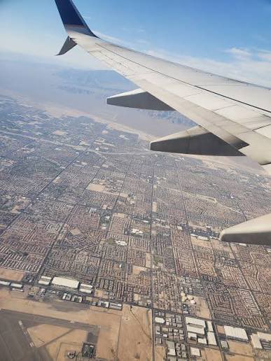 MSkyline tweet media