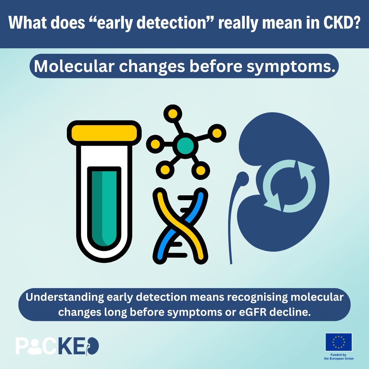 PROJECTPICKED's tweet photo. What does “early detection” mean in CKD?  

Not symptoms, molecular/structural damage starts first. That’s why simple routine checks (eGFR + albuminuria) + biomarkers matter: detect risk early, act sooner.  

#CKD #KidneyHealth #EarlyDetection #PICKEDproject https://t.co/hgU8w4aF4o