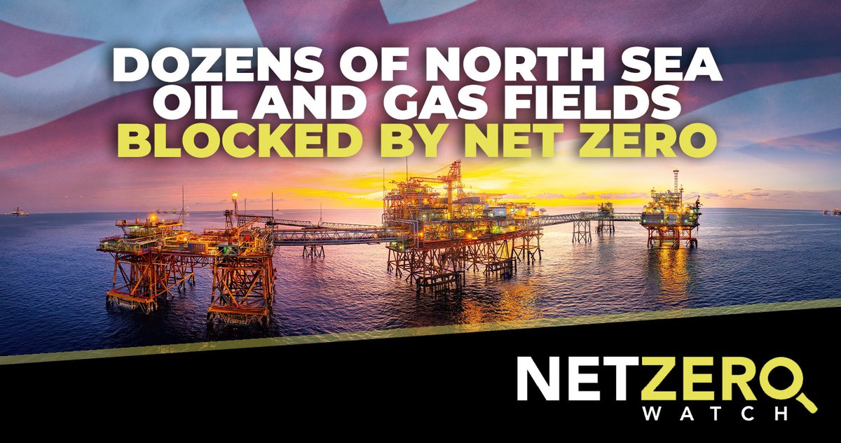 Net Zero Watch tweet media