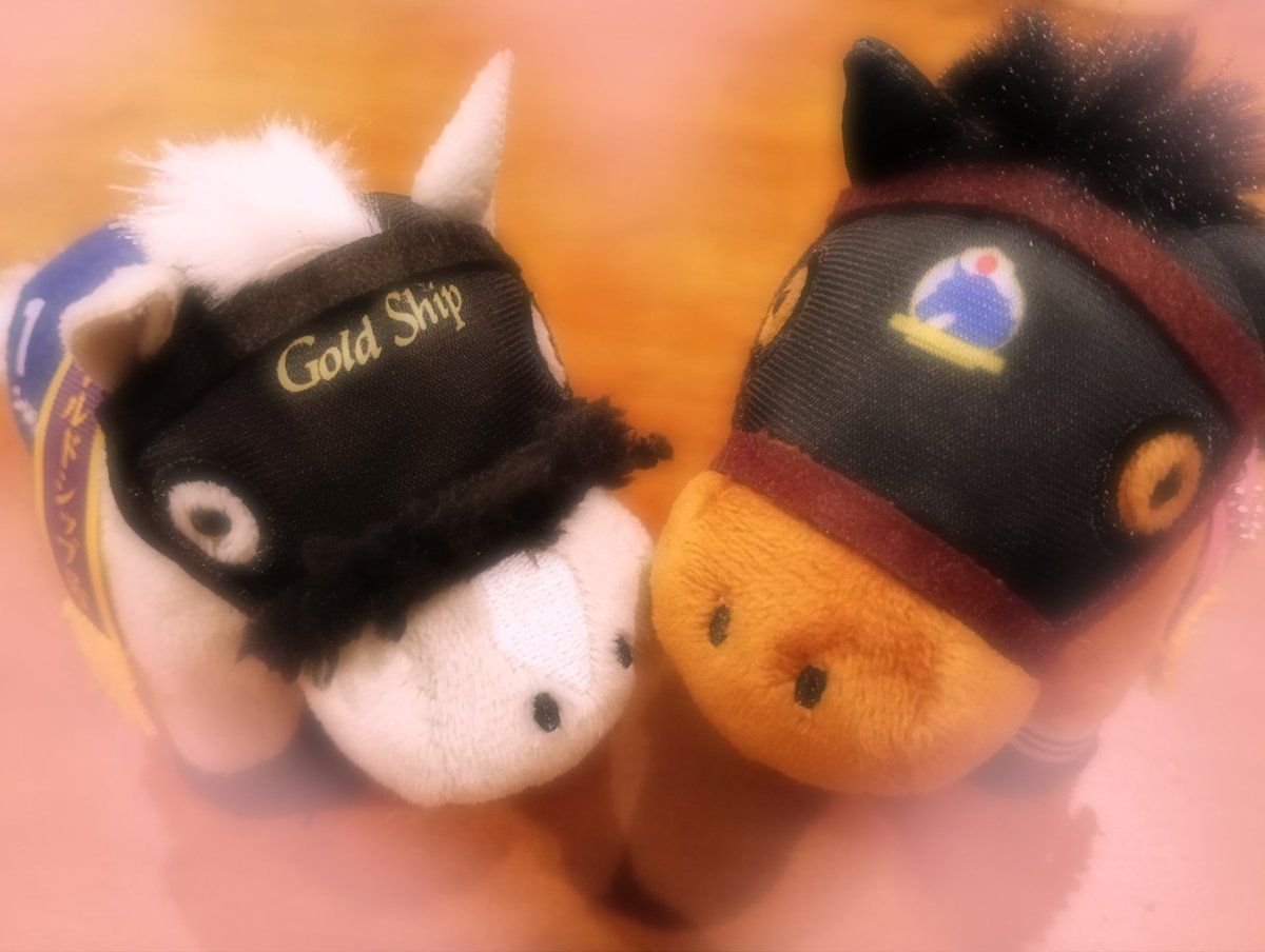 れん💙🐾 tweet media