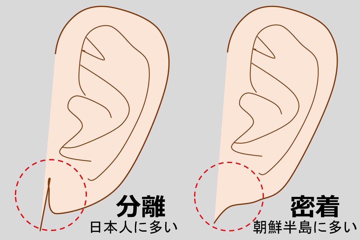 Long Censored Japanese Voices tweet media