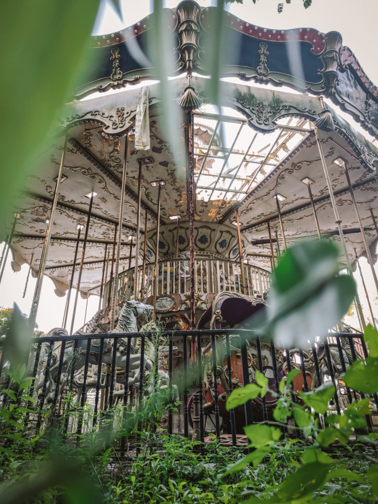 森を抜けた先に