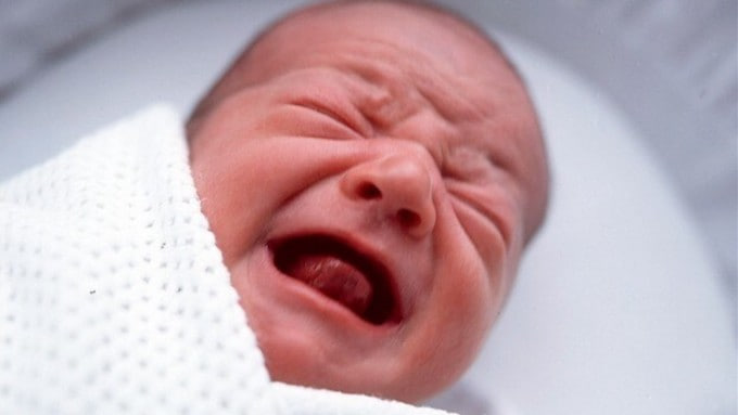 Alain Soral Officiel tweet media