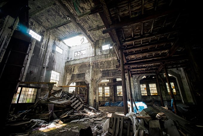 🇯🇵星空音夢🇯🇵🧀👮 tweet media