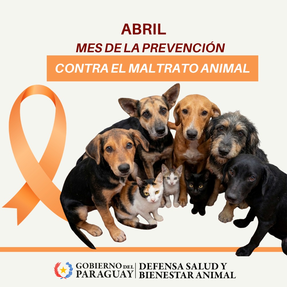 Dirección Nacional de Defensa Animal tweet media