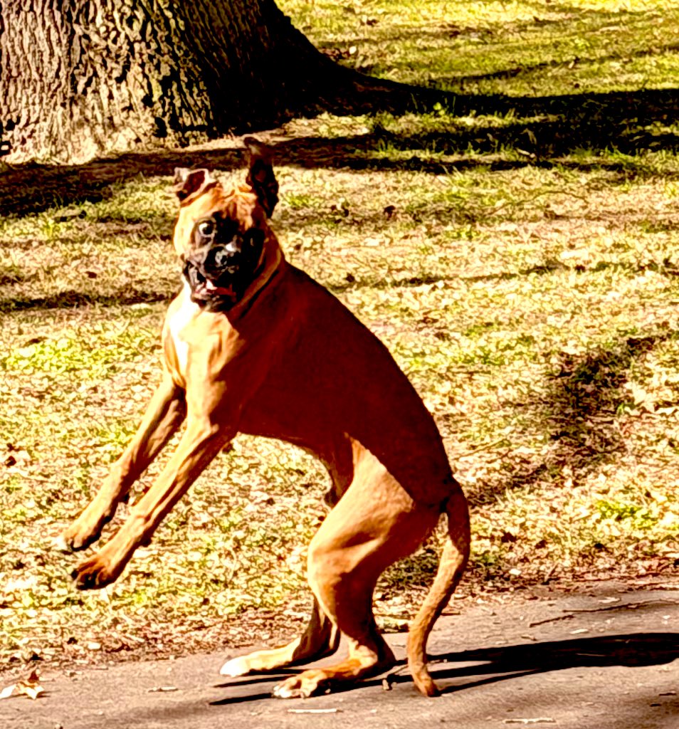 Maciej Zielinski 🇮🇹 tweet media