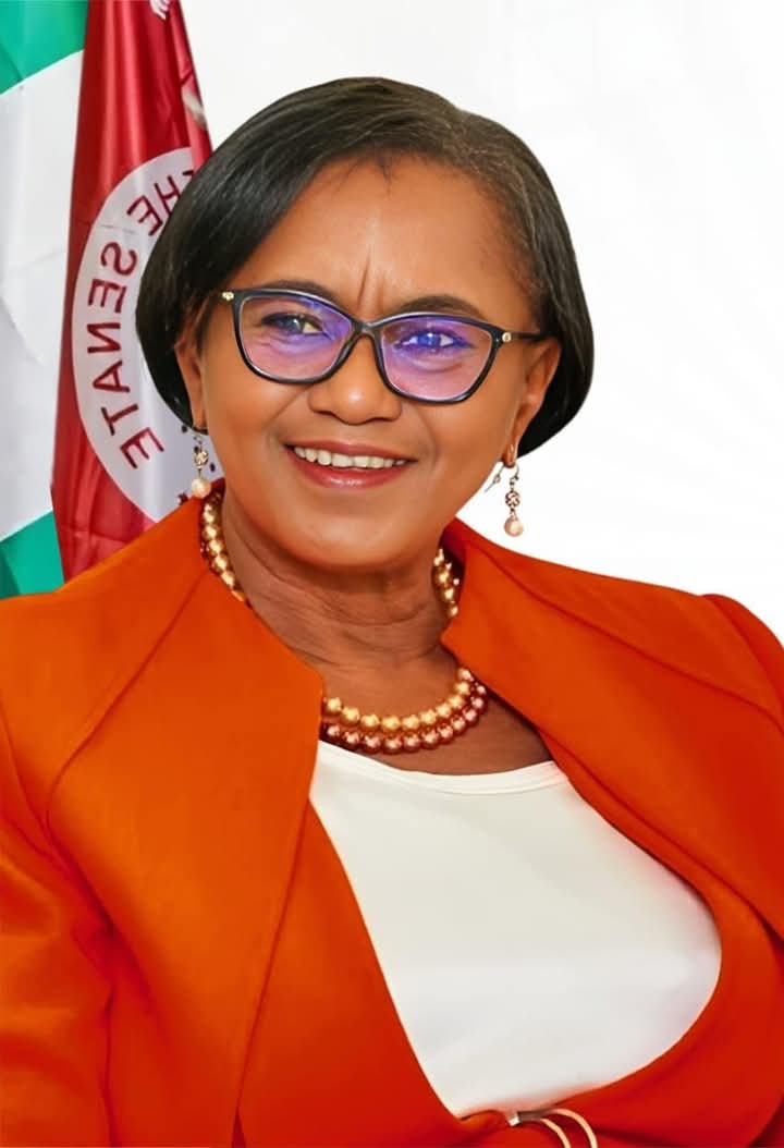 Sen. Dr Ipalibo Harry Banigo (DSSRS) tweet media