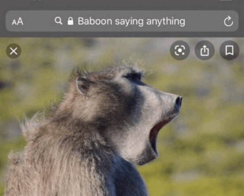 Saru-Mon tweet media