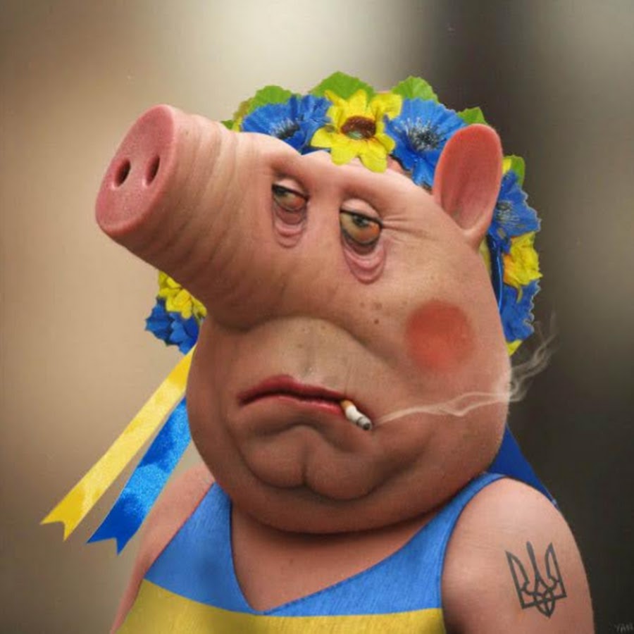 Лёха tweet media