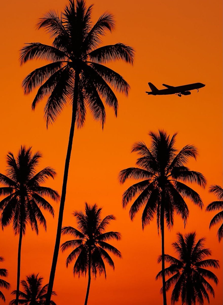 sam_autmn's tweet image. #Amazing #beautiful