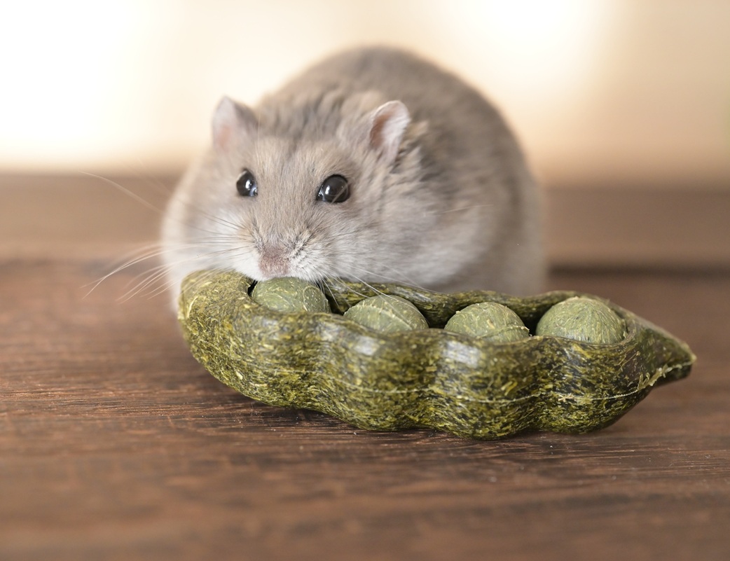 ペロ木村 tweet media