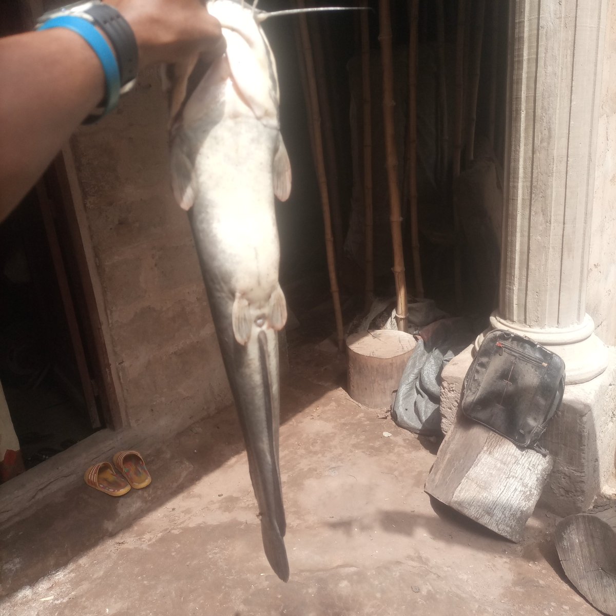 Kingsley Egbonyi 🐐 tweet media