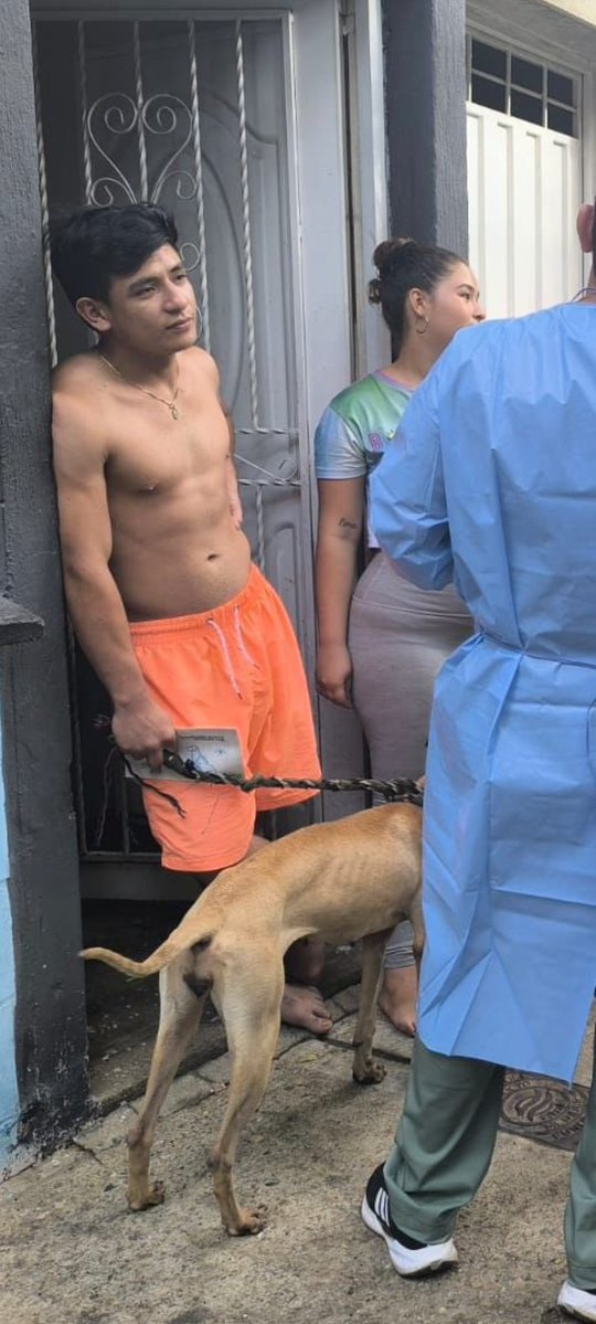 Nina Jimena tweet media