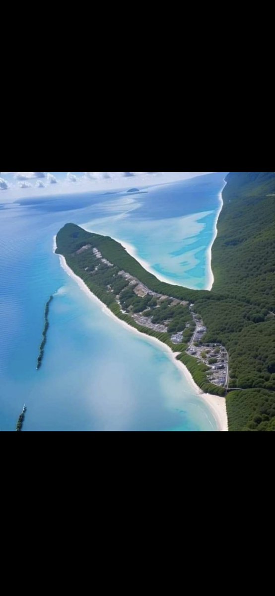 احمد tweet media