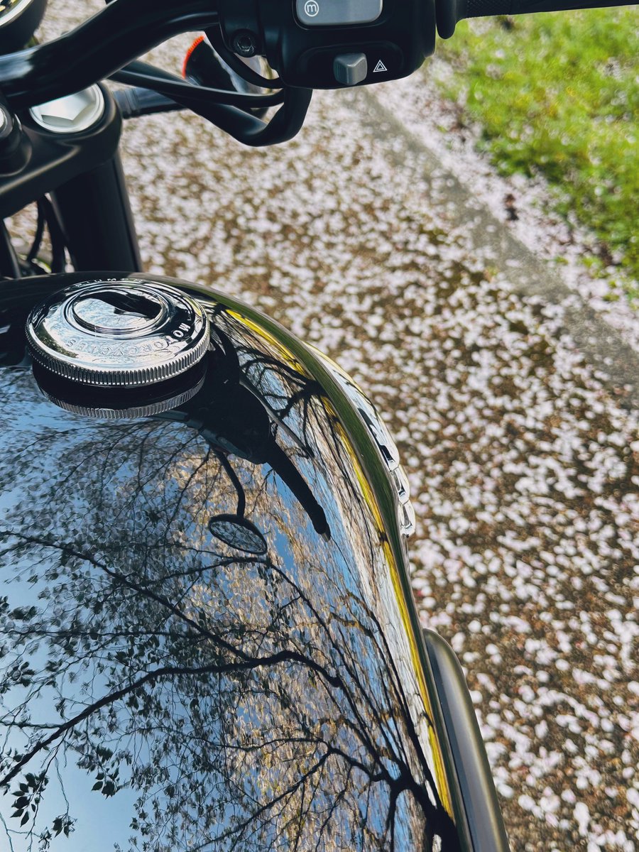 るか🪼T120 tweet media