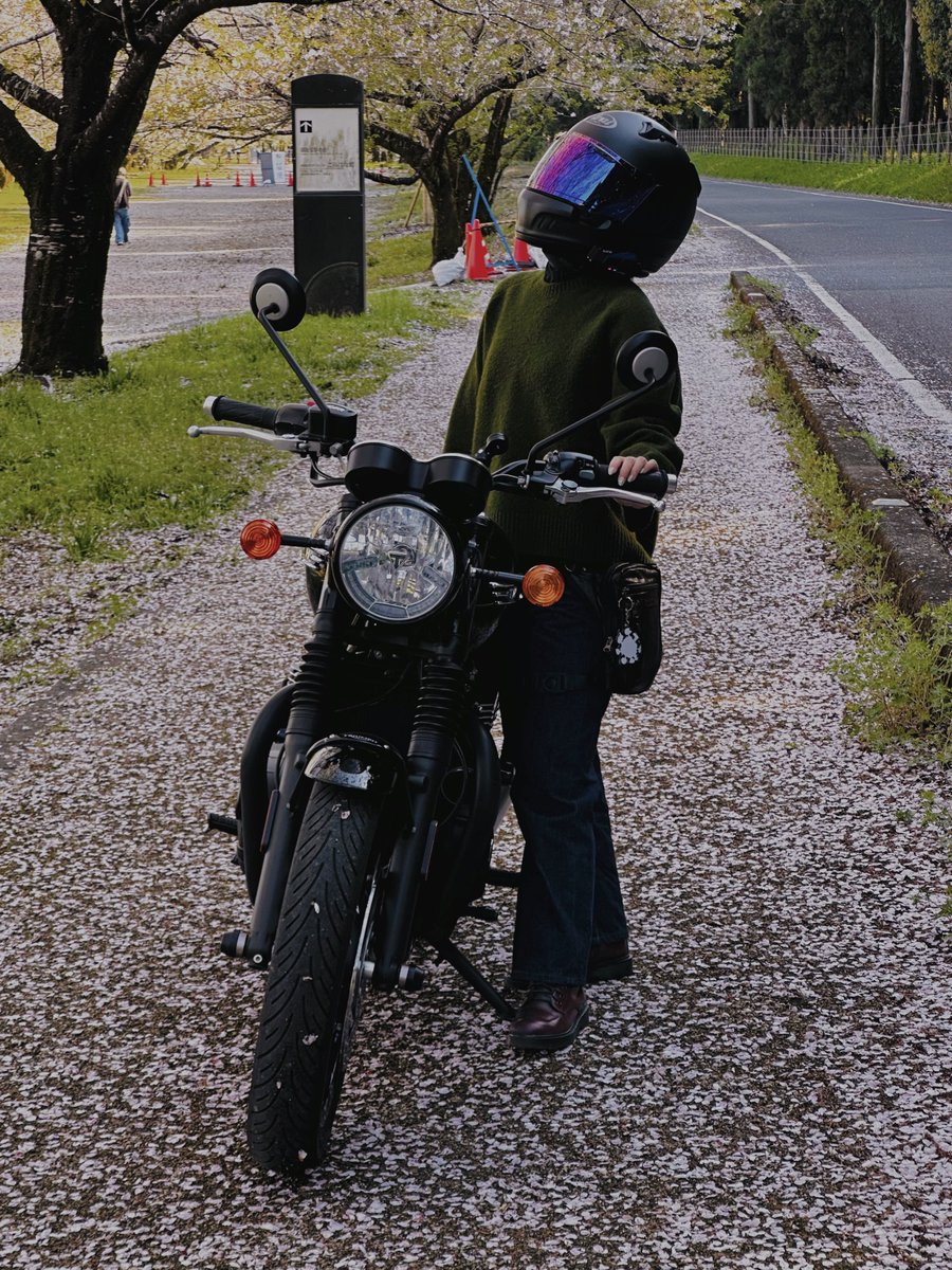 るか🪼T120 tweet media