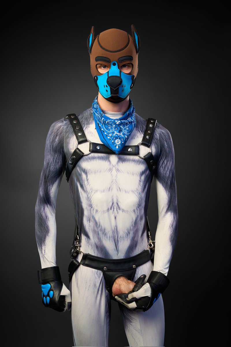 James Blond tweet media