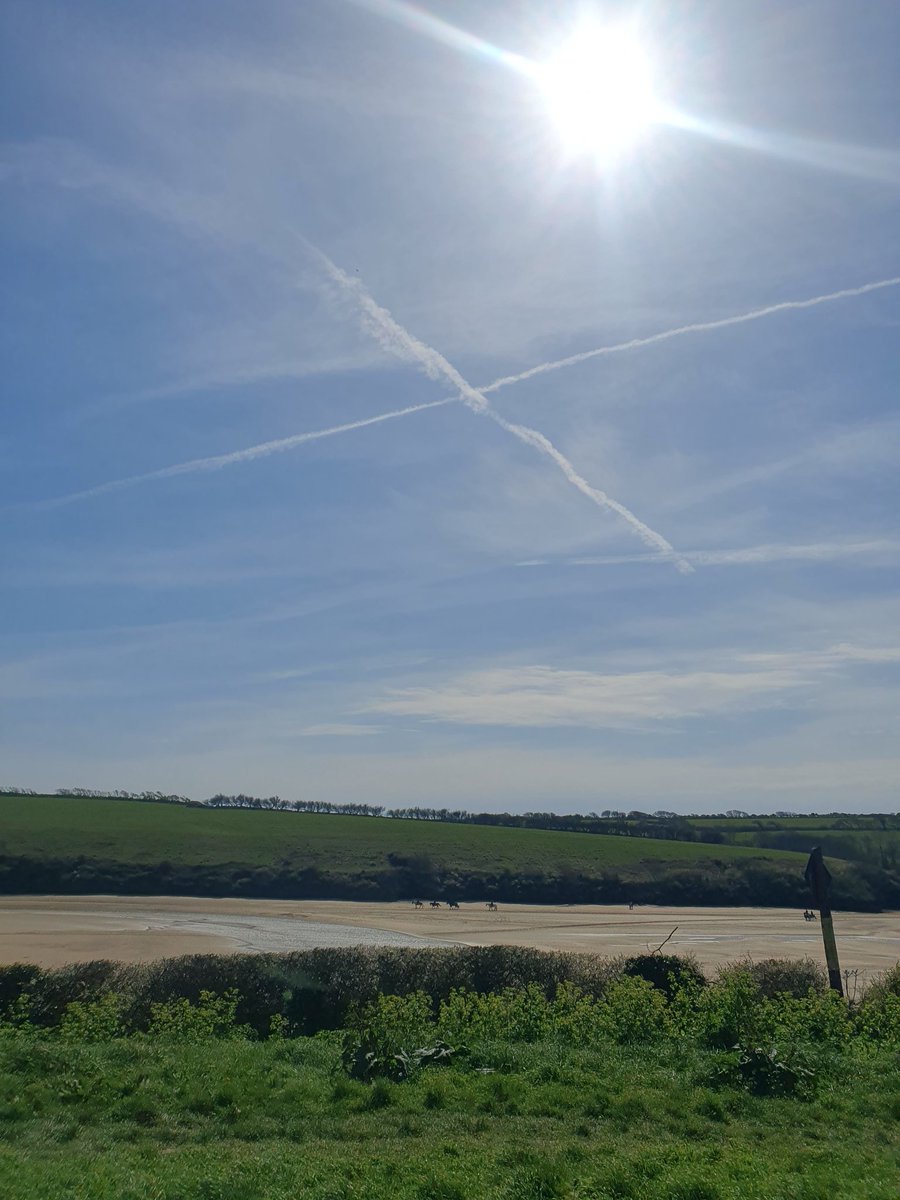 FearThePeopleAgain tweet media