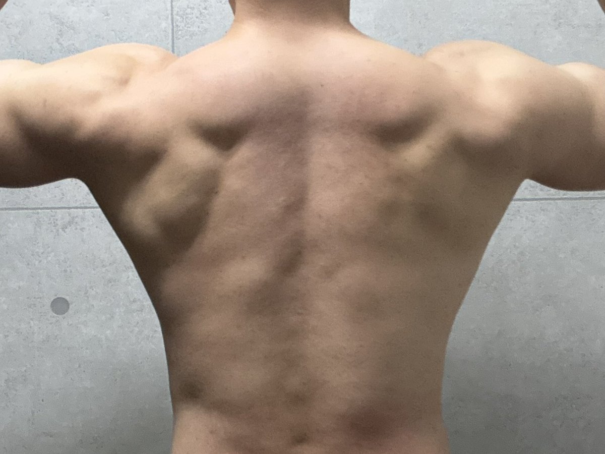 桜蒔（はるま） tweet media