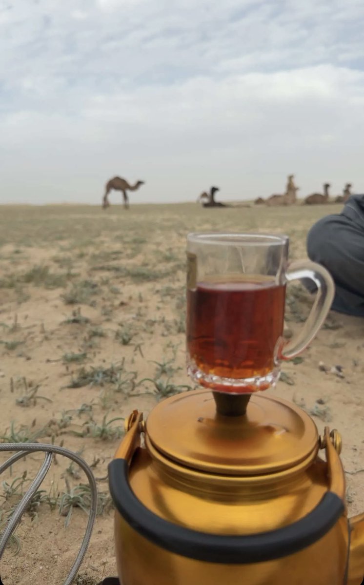 سياسي شرعي tweet media