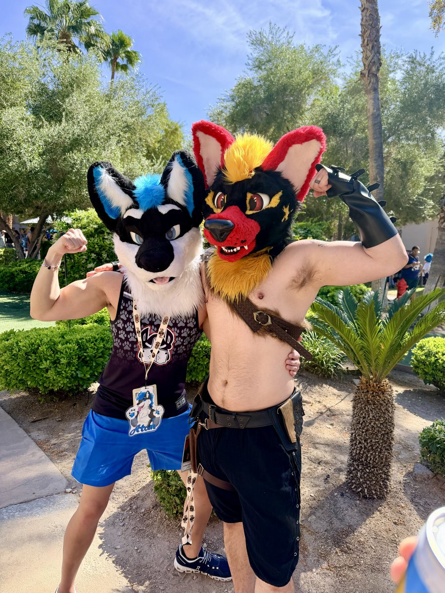 Atom the Wolf (@AtomtheWolf) / Posts / X