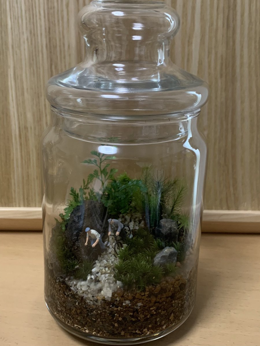 ushitaro13's tweet photo. ワークショップで作ってきた苔テラリウム https://t.co/pvm1r1dfqn