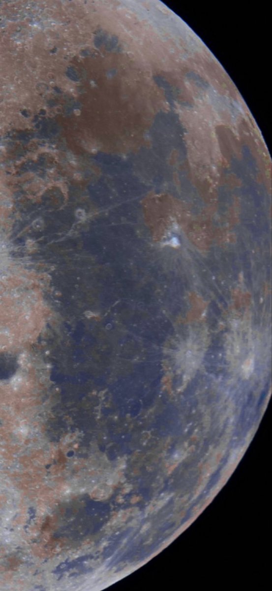 Bro-nouns tweet media