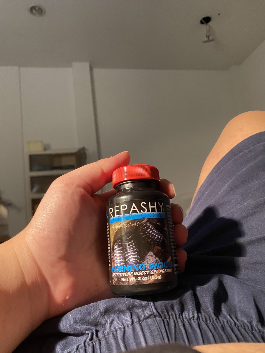 NewtTheCheezeboi🧀Comms still open!! tweet media