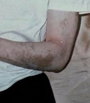 good fish tweet media