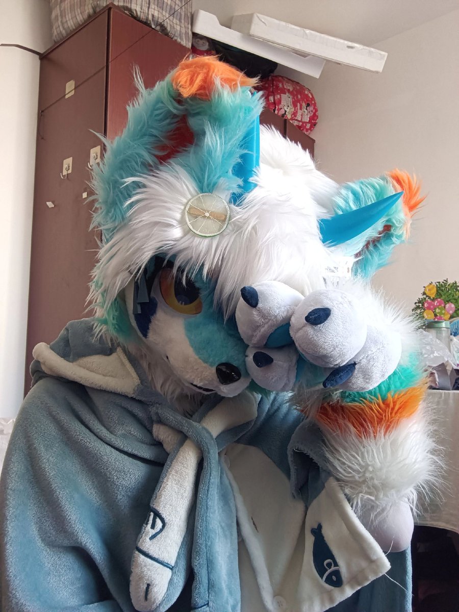 秋罗𝑄𝑢𝑟𝑢𝑜🔜缅兽聚 tweet media