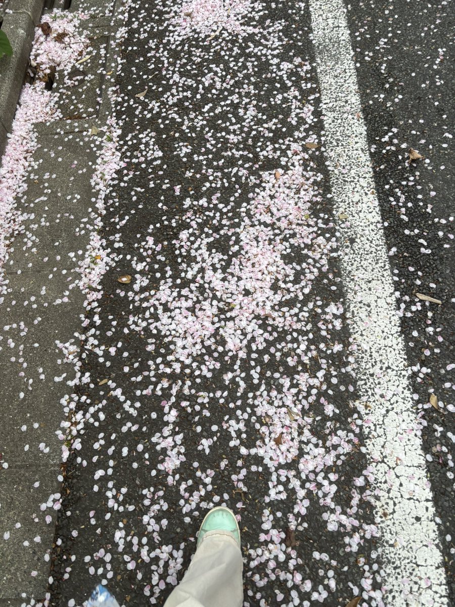 歌ﾍﾟ tweet media