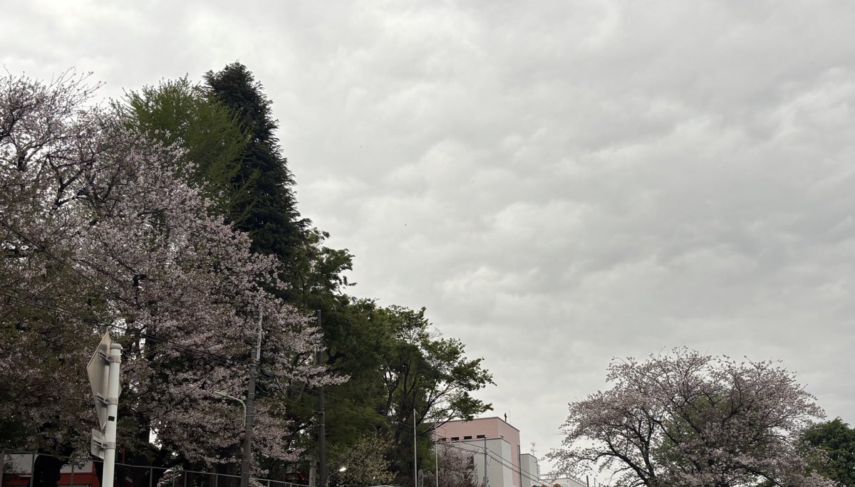 歌ﾍﾟ tweet media