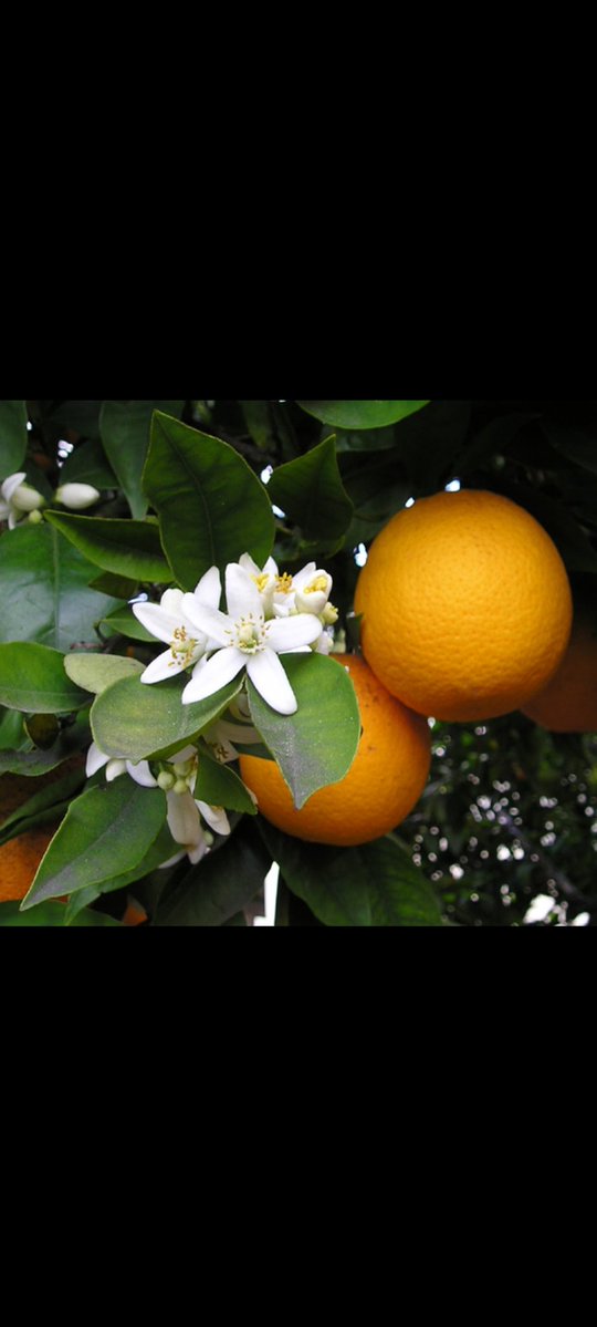 $ergįį0🇪🇸 tweet media