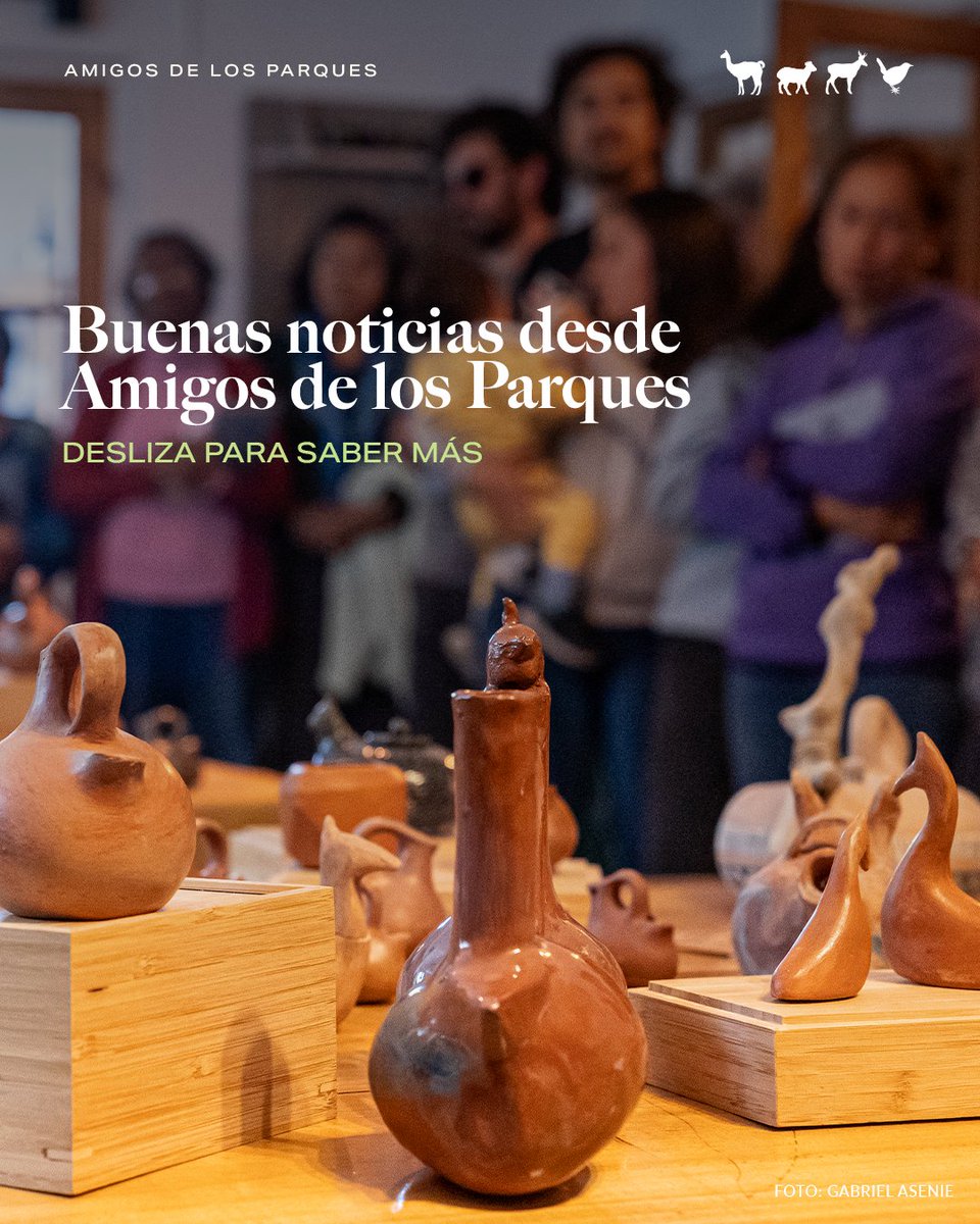 Fundación Rewilding Chile tweet media