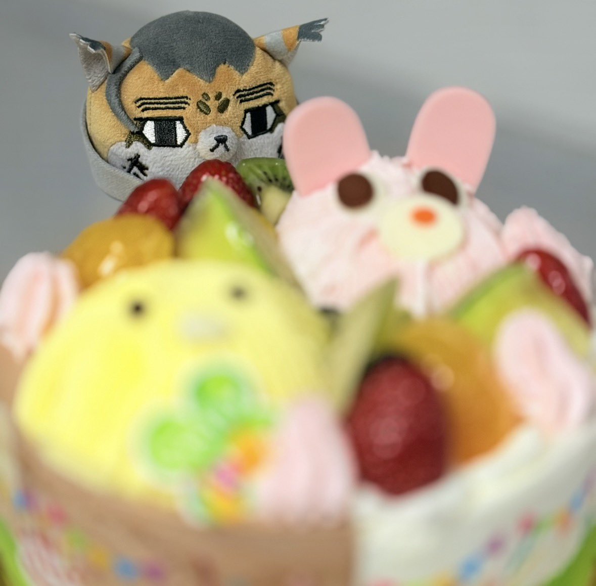 うちのほぜち tweet media