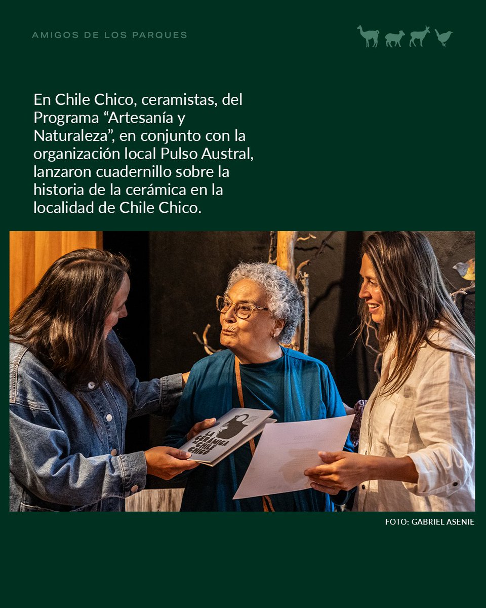 Fundación Rewilding Chile tweet media