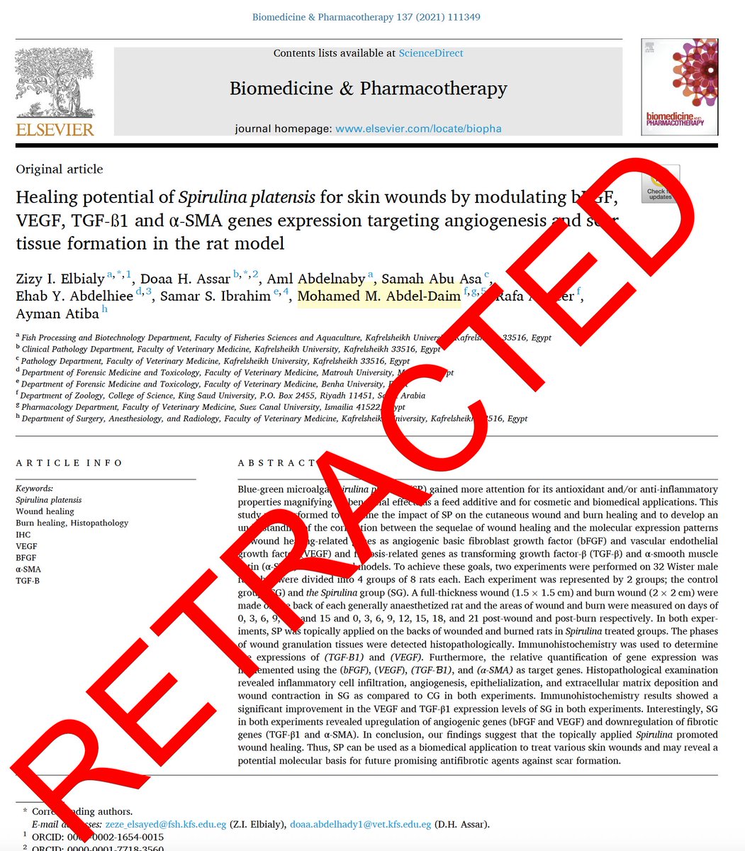 Spottingthespot's tweet image. Mohamed M. Abdel-Daim from @Bmcjed got 3 more retractions! This #papermill #fraud and #corrupt editor has been acting as an editor for @FrontiersIn journals! He is involved in paper mill fraud, acting as an editor for his friends!